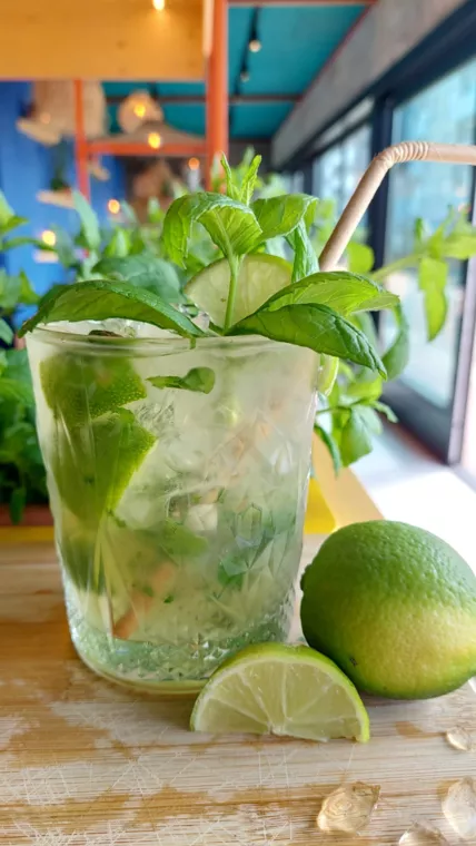 Een verse mojito na een teamdag aan zee - De lekkerste mojito's van de Westkust! - Surf Café